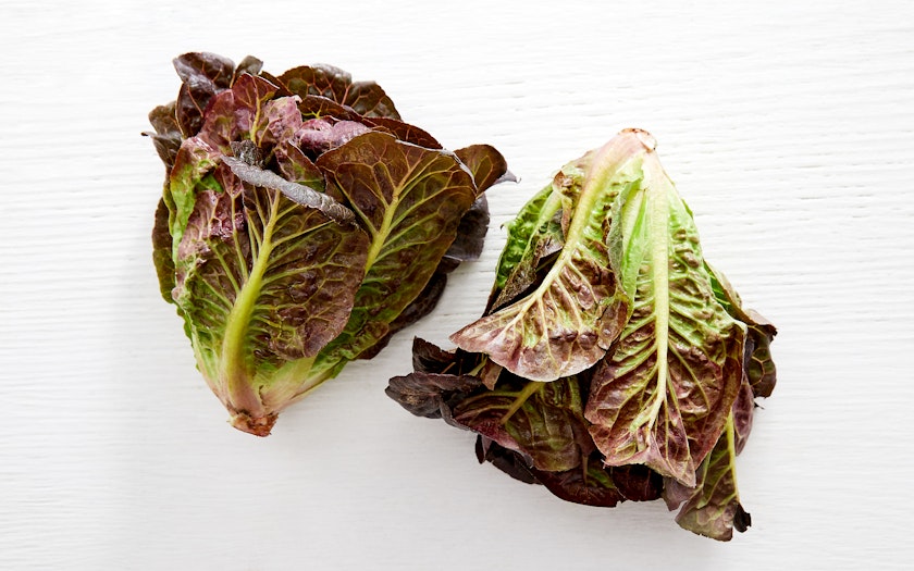 Organic Red Little Gem Lettuce Duo, 2 count